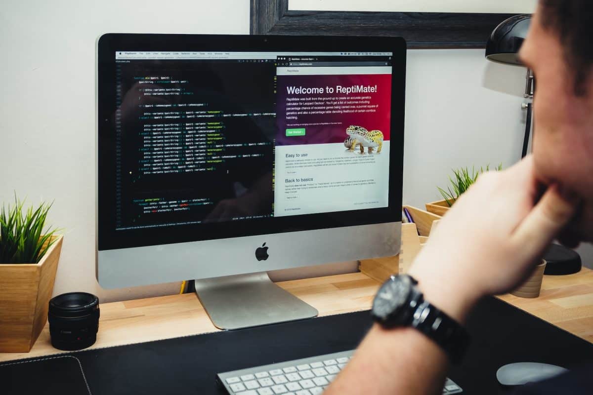 Un développeur web